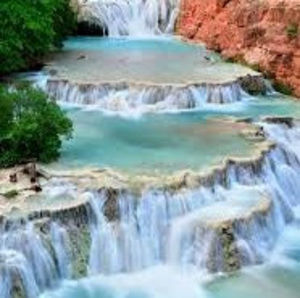 Meet your Posher, Ari